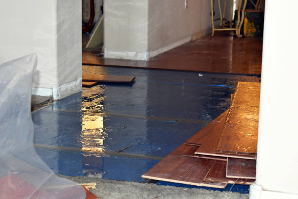 Professional Flood Damage Repair technician working in Buskirk, NY